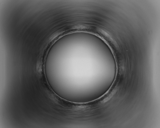 X0000094911017200712061044