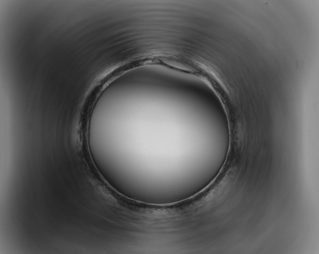 X0000094911018200712061044