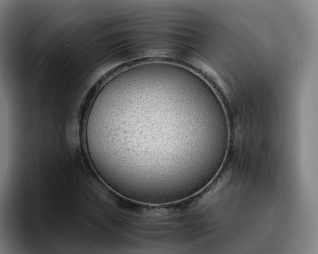X0000094911019200712061044