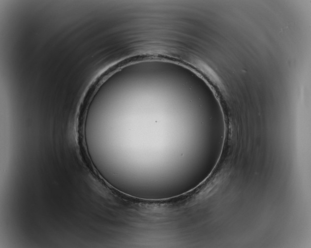 X0000094911020200712061044