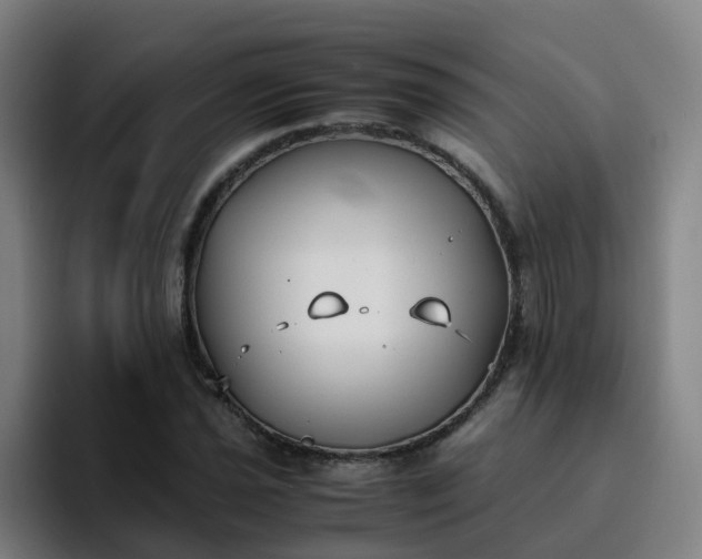 X0000094911021200712061044