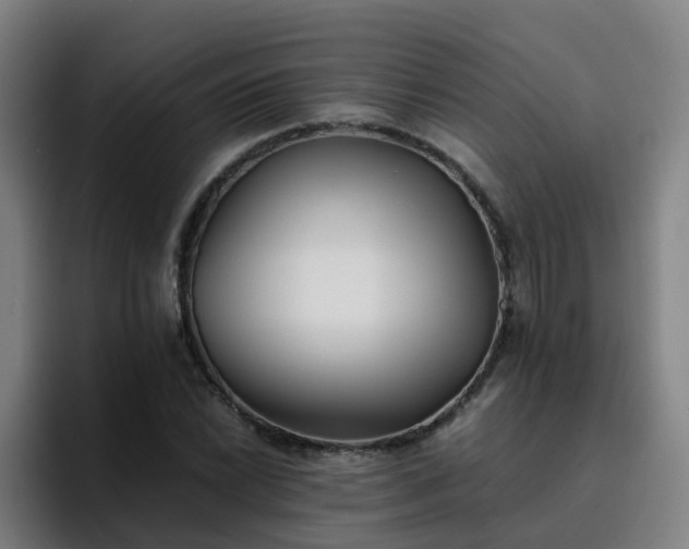 X0000094911022200712061044