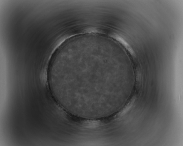 X0000094911023200712061044