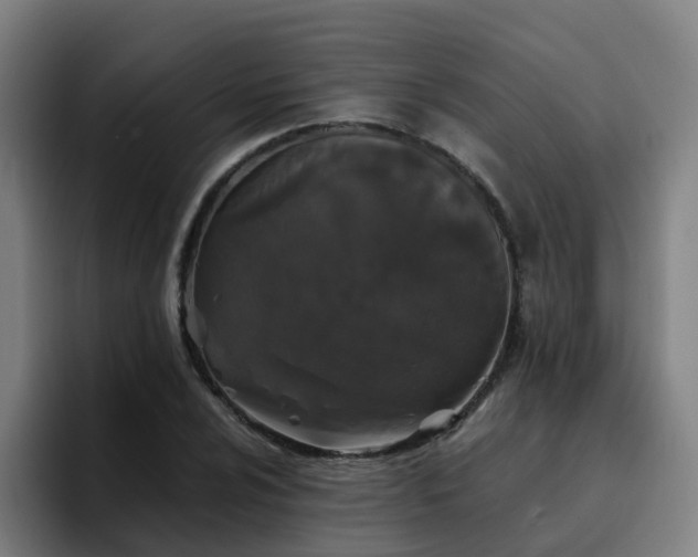 X0000094911024200712061044