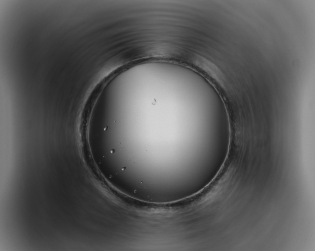 X0000094911026200712061044