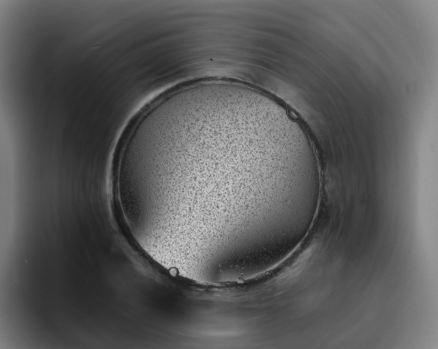 X0000094911028200712061044