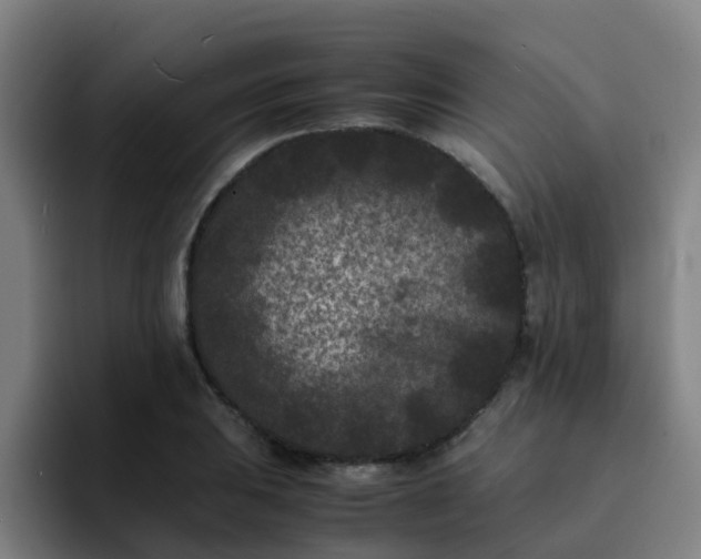 X0000094911031200712061044