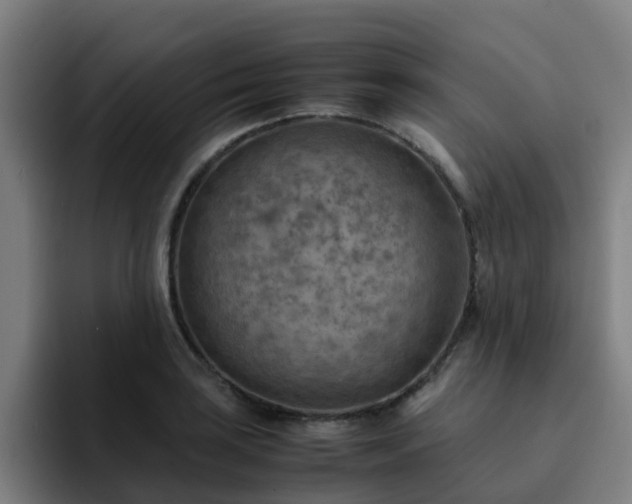 X0000094911035200712061044
