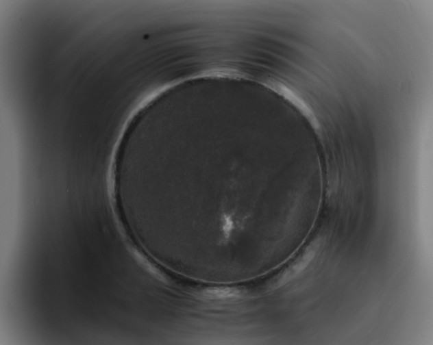 X0000094911037200712061045