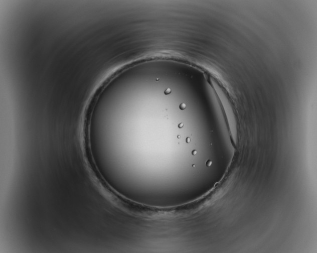 X0000094911038200712061045