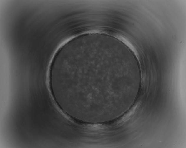 X0000094911045200712061045