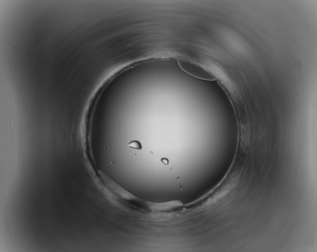 X0000094911046200712061045