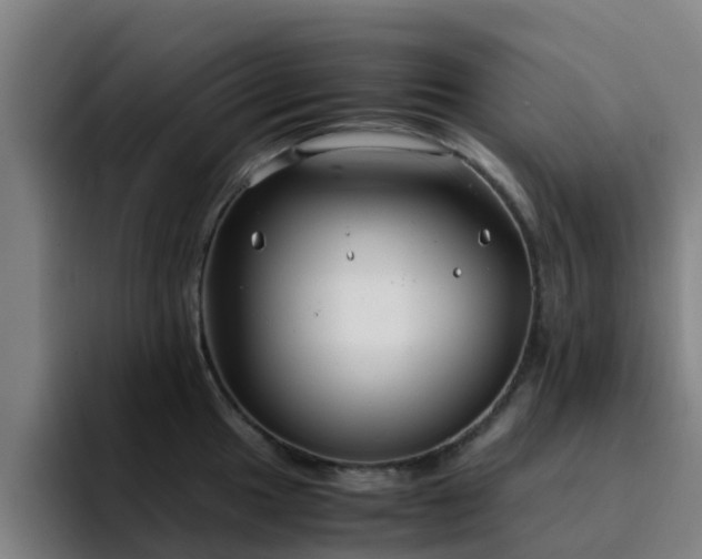 X0000094911049200712061045