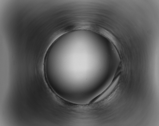 X0000094911050200712061045