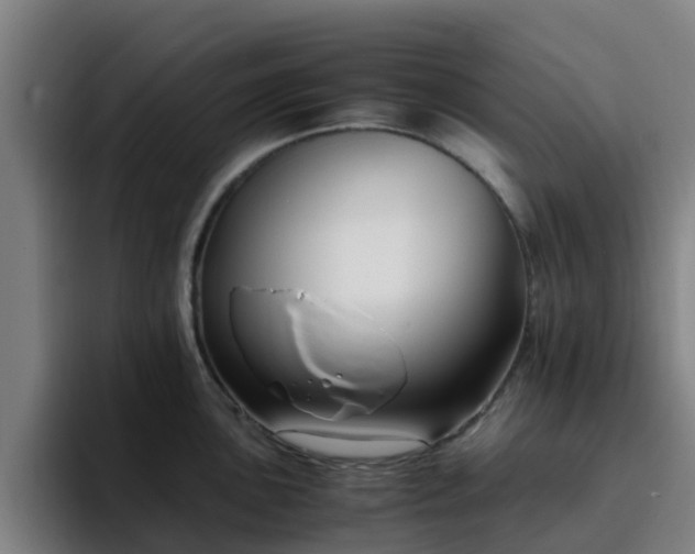 X0000094911051200712061045