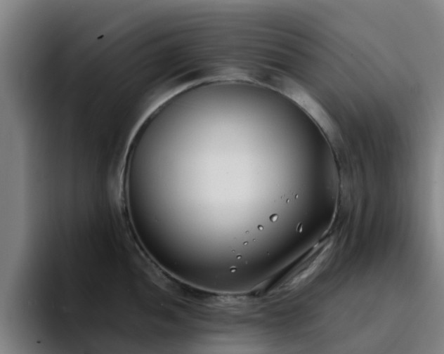 X0000094911052200712061045