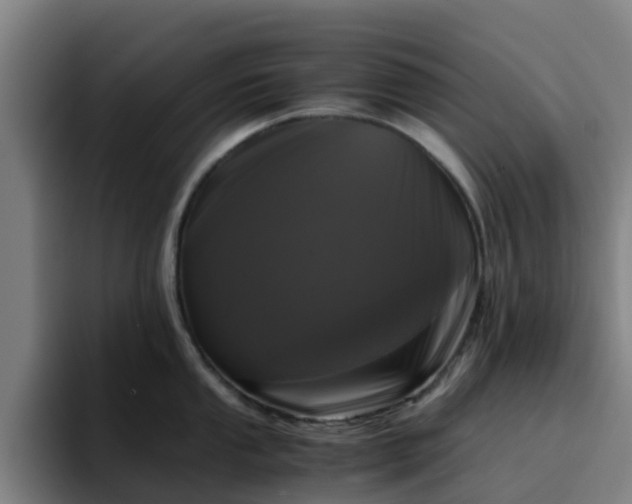 X0000094911053200712061045