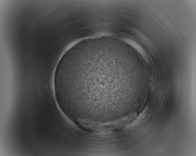 X0000094911055200712061045