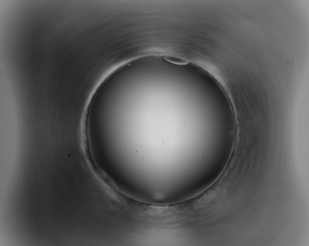 X0000094911056200712061045
