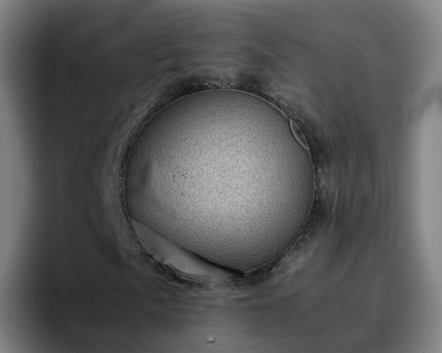 X0000094911057200712061044