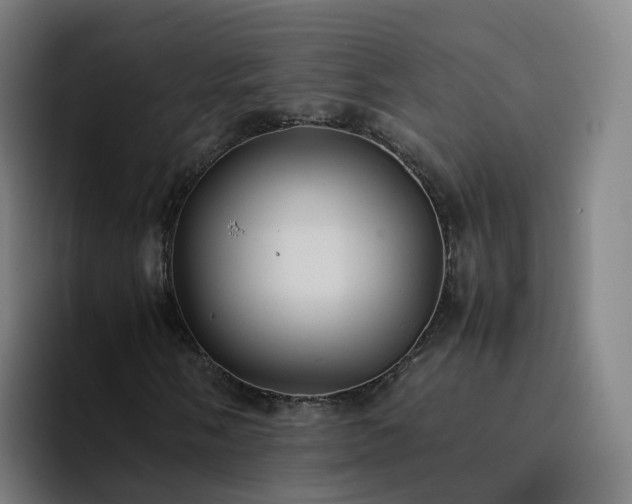 X0000094911058200712061044