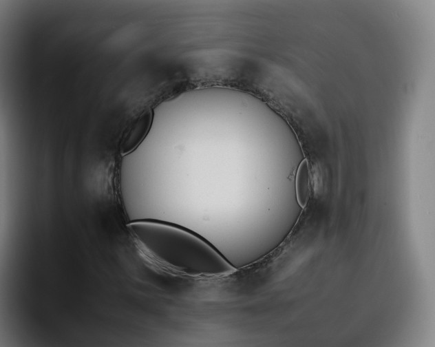 X0000094911059200712061044