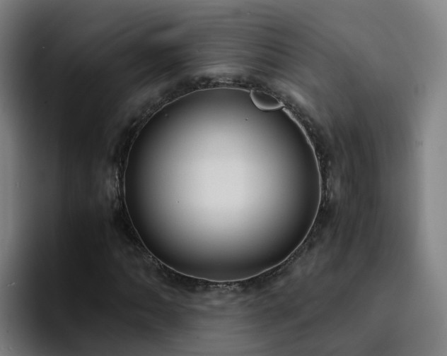 X0000094911062200712061044
