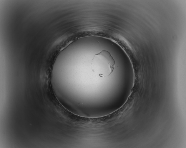 X0000094911064200712061044