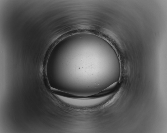 X0000094911065200712061044