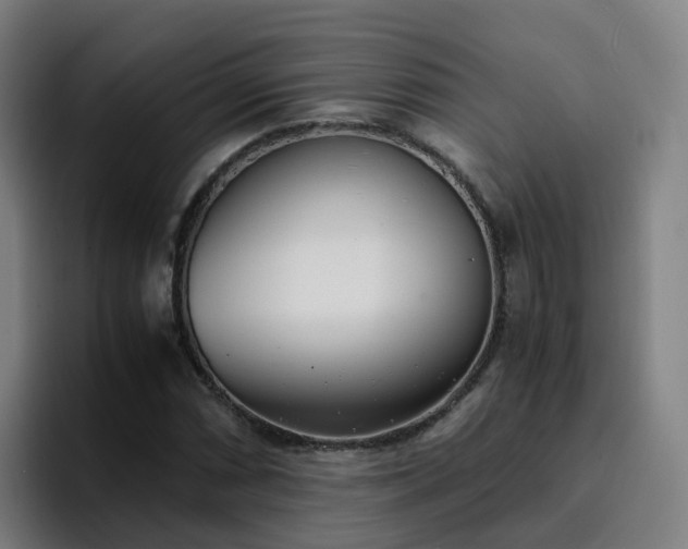 X0000094911066200712061044