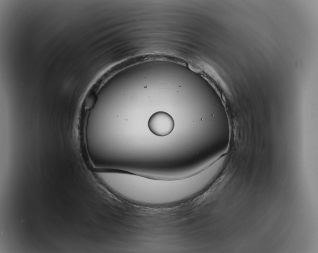 X0000094911068200712061044