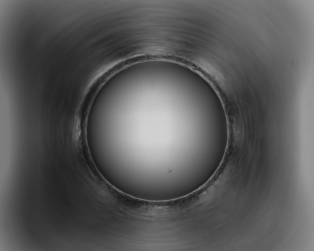 X0000094911070200712061044