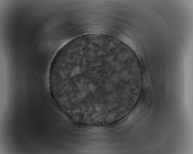 X0000094911071200712061044