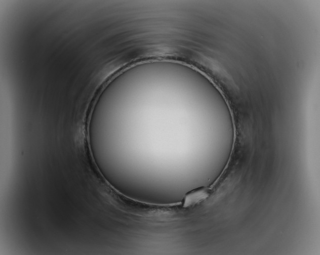 X0000094911073200712061044