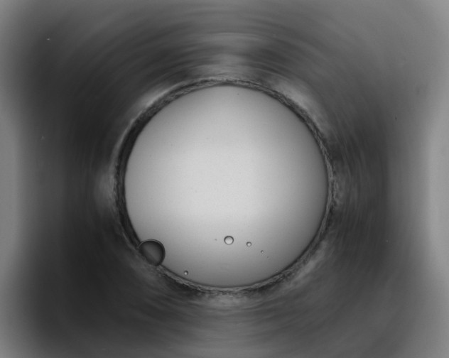 X0000094911074200712061044