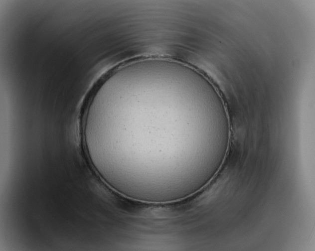 X0000094911075200712061044