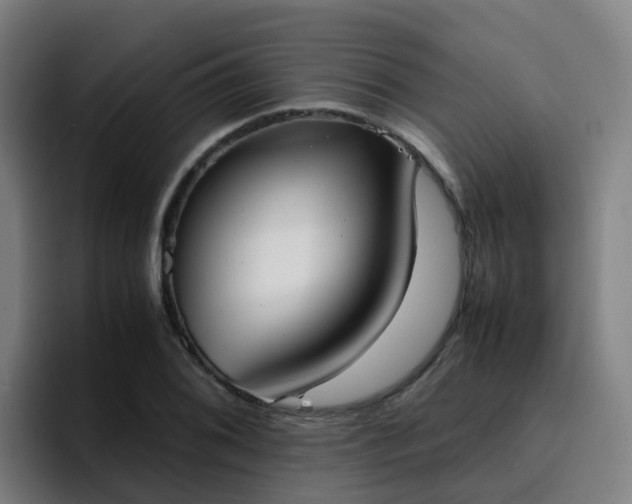 X0000094911076200712061044