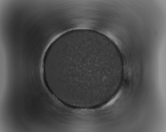 X0000094911077200712061044