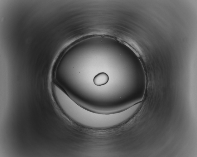 X0000094911080200712061044