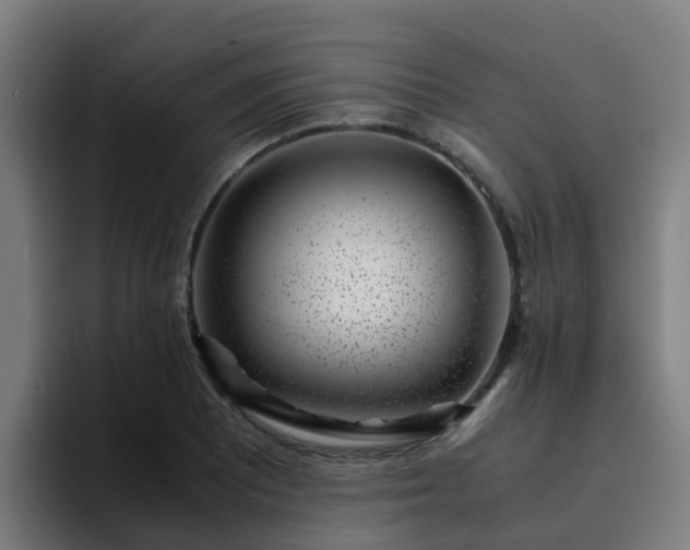 X0000094911081200712061044