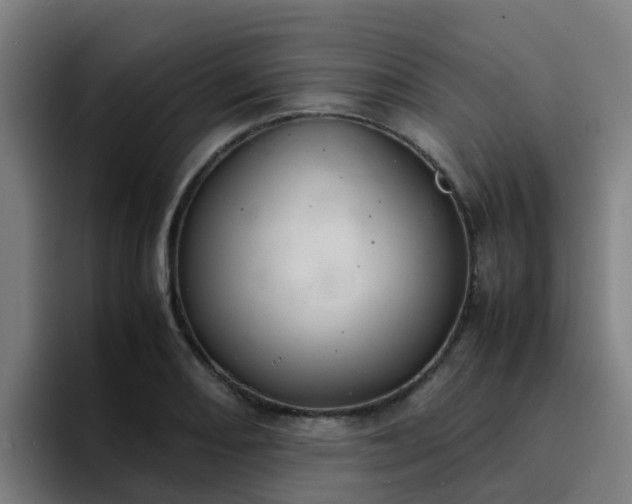 X0000094911082200712061044