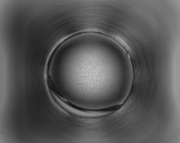 X0000094911084200712061044