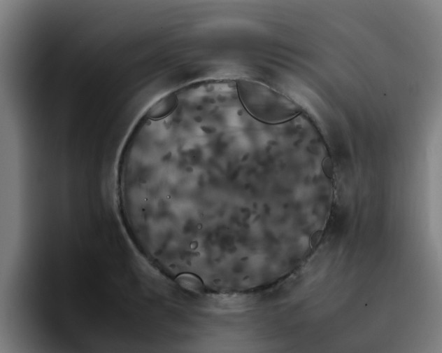 X0000094911087200712061044