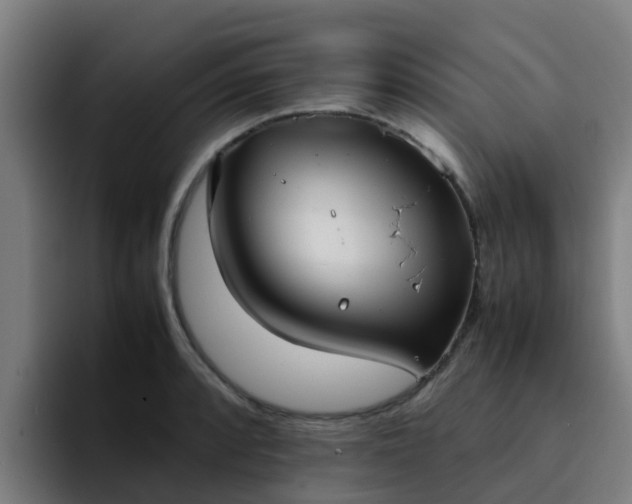 X0000094911088200712061044