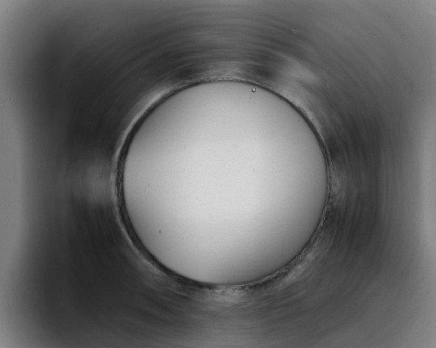 X0000094911090200712061044