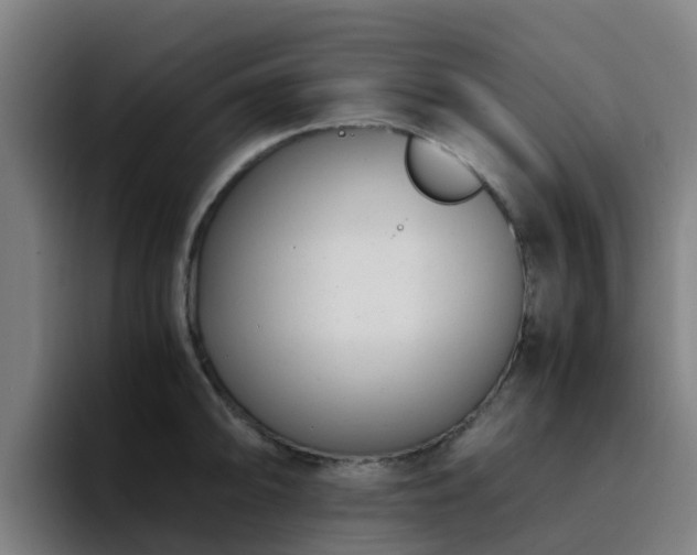X0000094911094200712061044