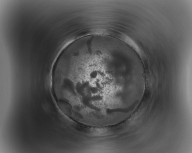 X0000094911095200712061044