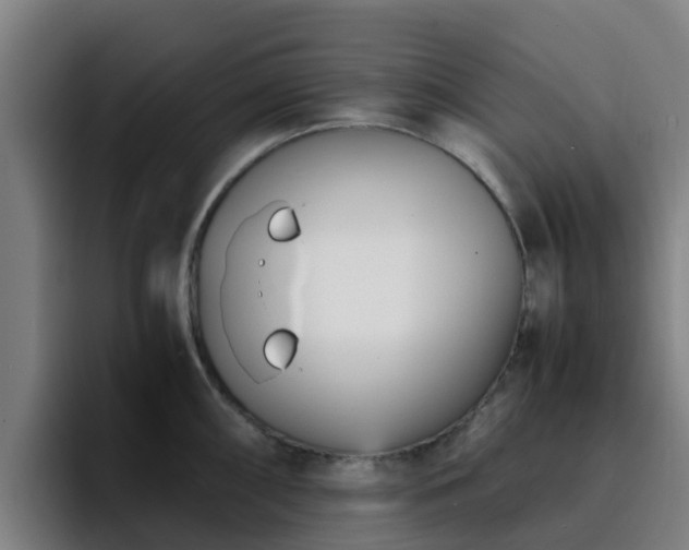 X0000094911098200712061044
