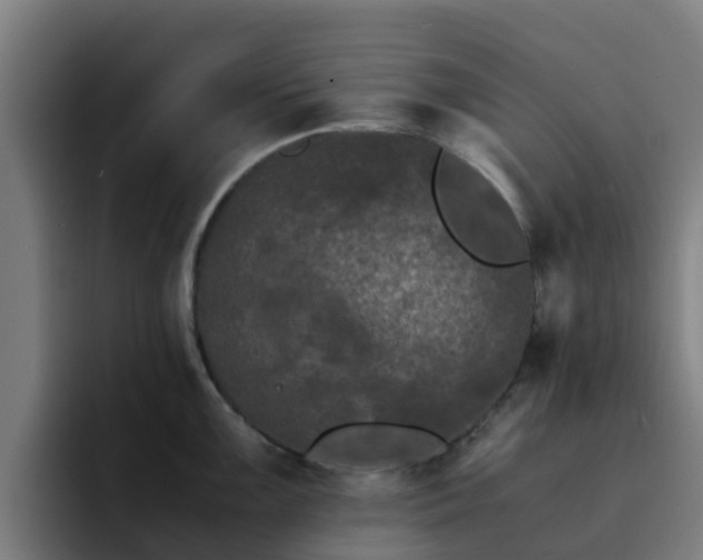 X0000094911099200712061044