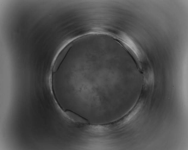 X0000094911100200712061044